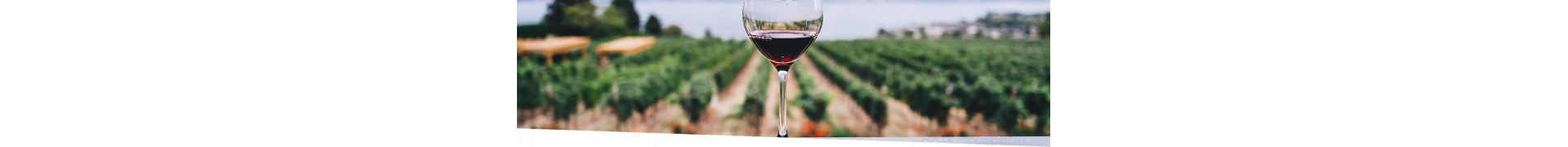 Vino, Cerveza y Bebidas alcohólicas Ecológicas | El Viejo Hortelano